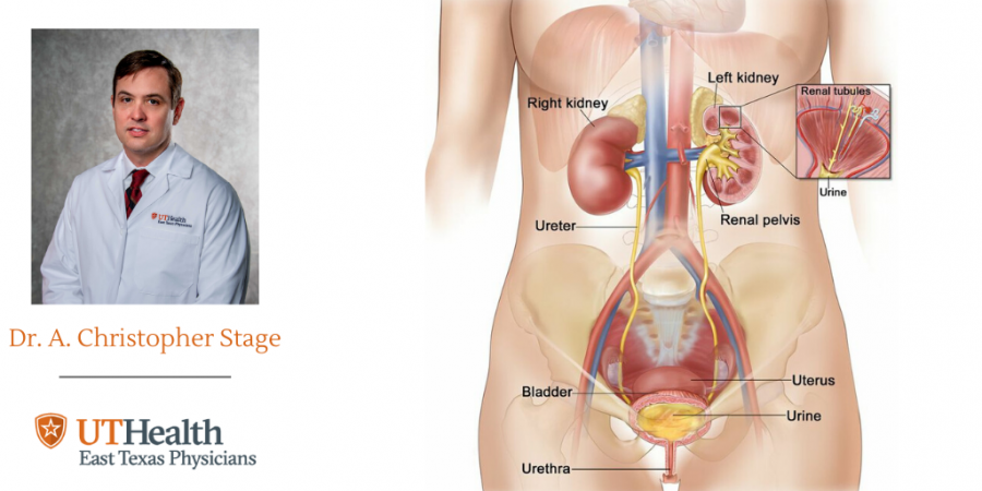 6 Urinary Symptoms That Warrant a Visit to The Urologist